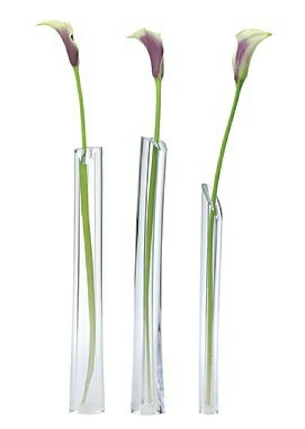 Mundblæste vaser, Bones Mundblæste vaser, Bones