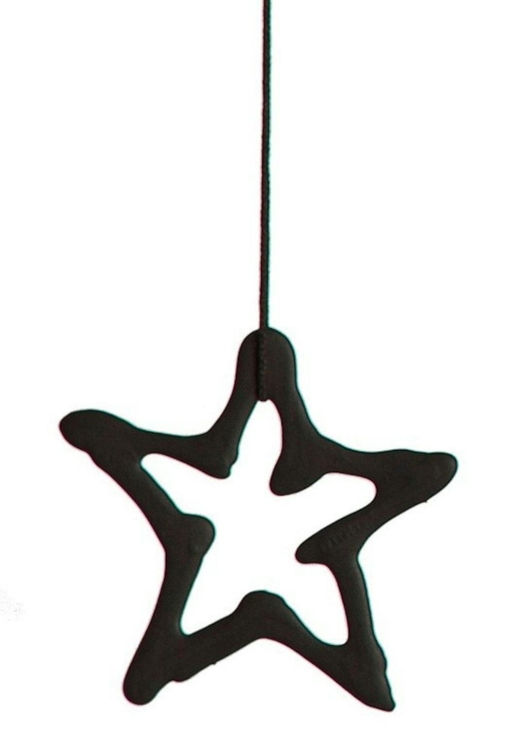 Sort porcelænsstjerne Sort porcelænsstjerne