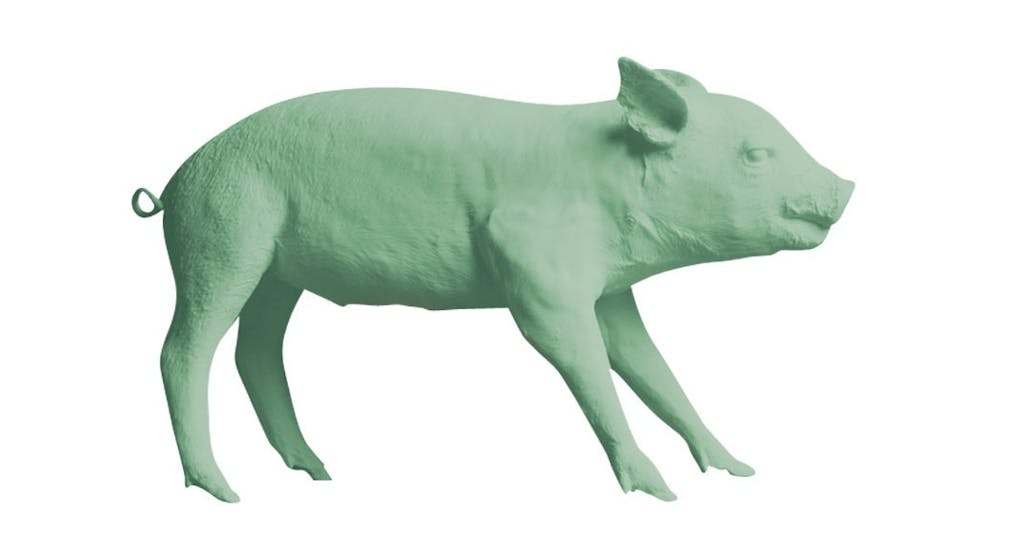 Sparegris, Bank in the Form of a Pig Sparegris, Bank in the Form of a Pig