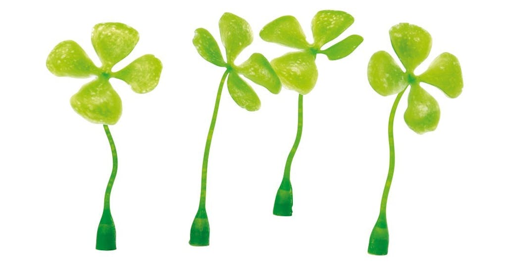 Vægdekoration, Wall of Luck Vægdekoration, Wall of Luck