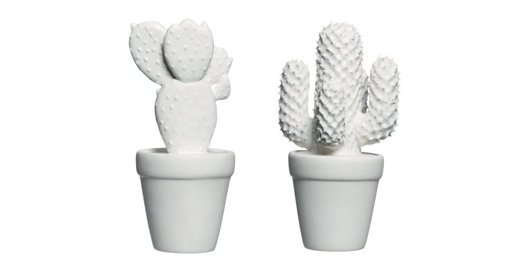 Kaktus i porcelæn Kaktus i porcelæn