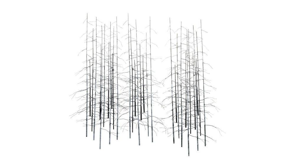 Nøgne træer Nøgne træer