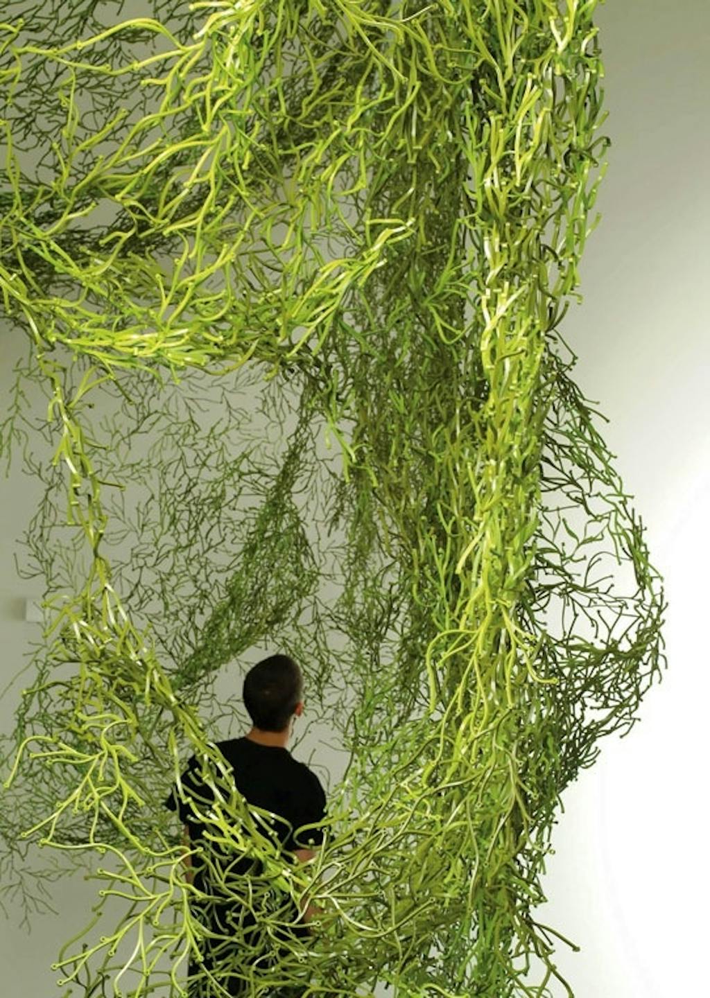 Selv om trends Selv om trends