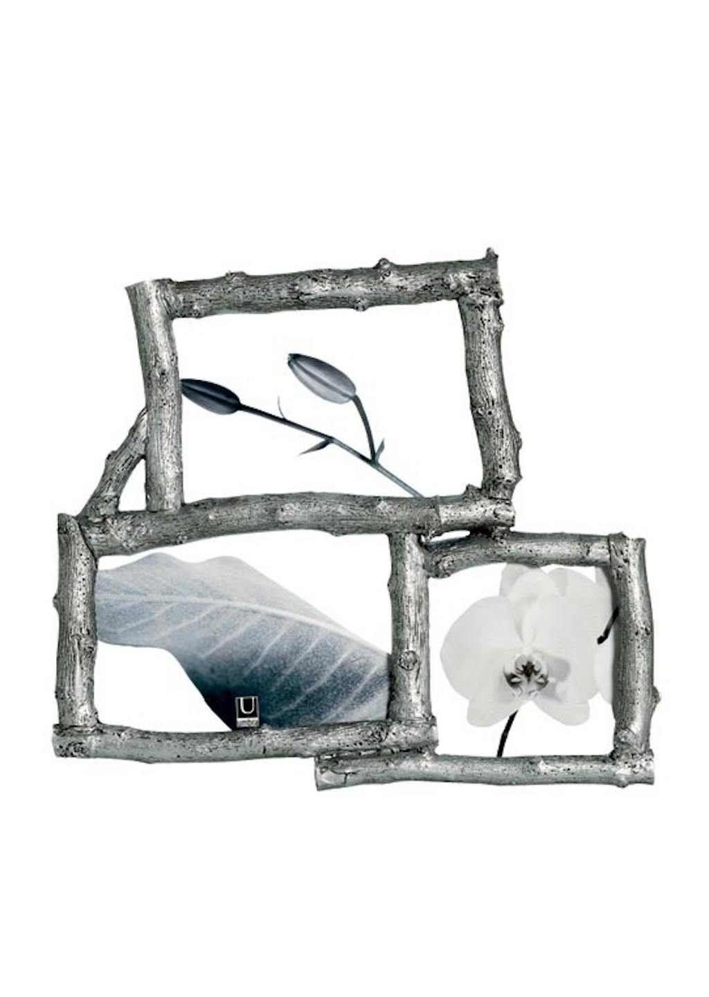 Fotoramme, Twiggy Fotoramme, Twiggy