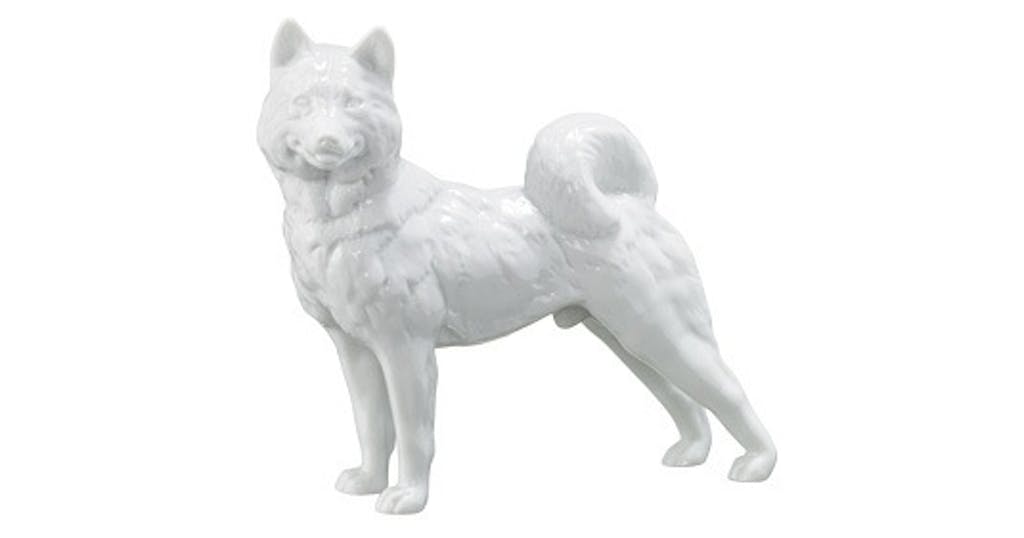 Slædehund i glaseret Slædehund i glaseret