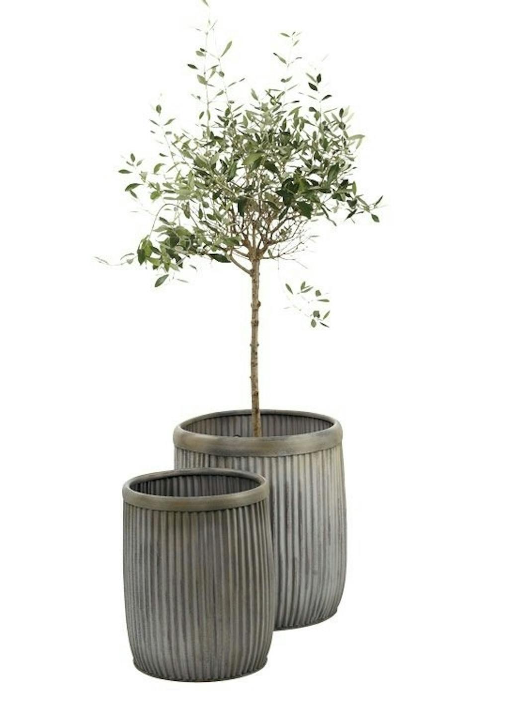 Store zinkkrukker Store zinkkrukker