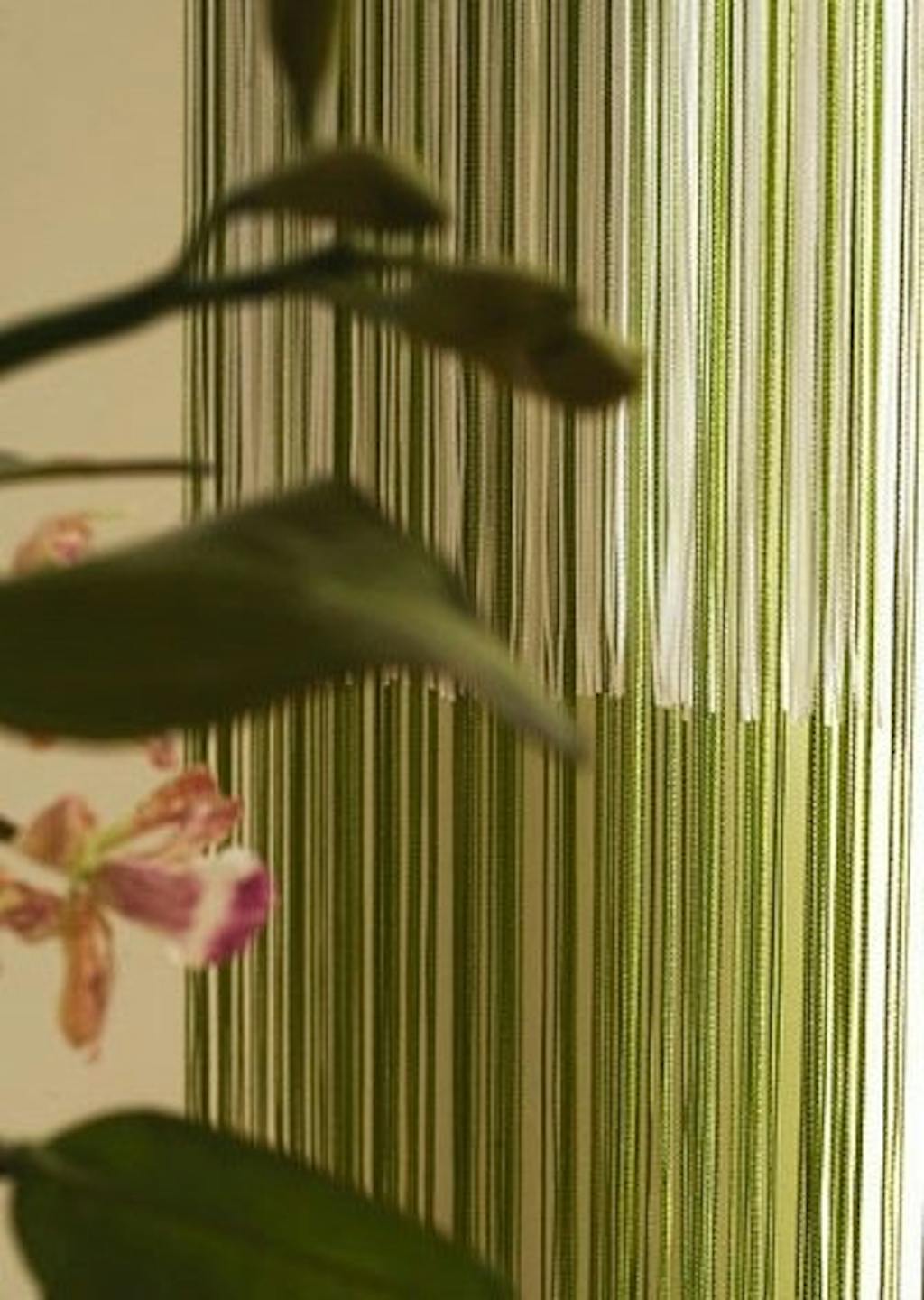 Det tynde trådgardin Det tynde trådgardin