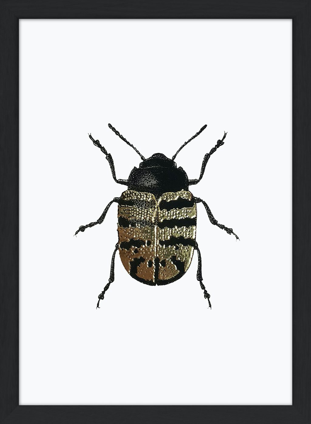 Golden-Beetle-white-Black-Web