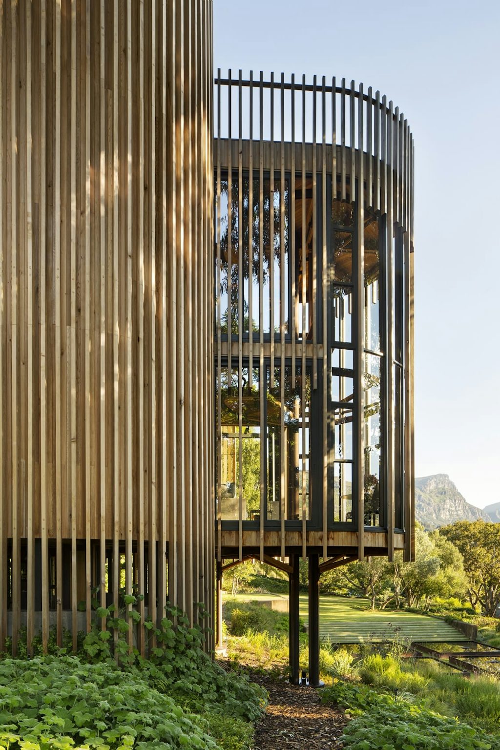 Malan-Vorster_Treehouse-01B Cylinder arkitektur skov