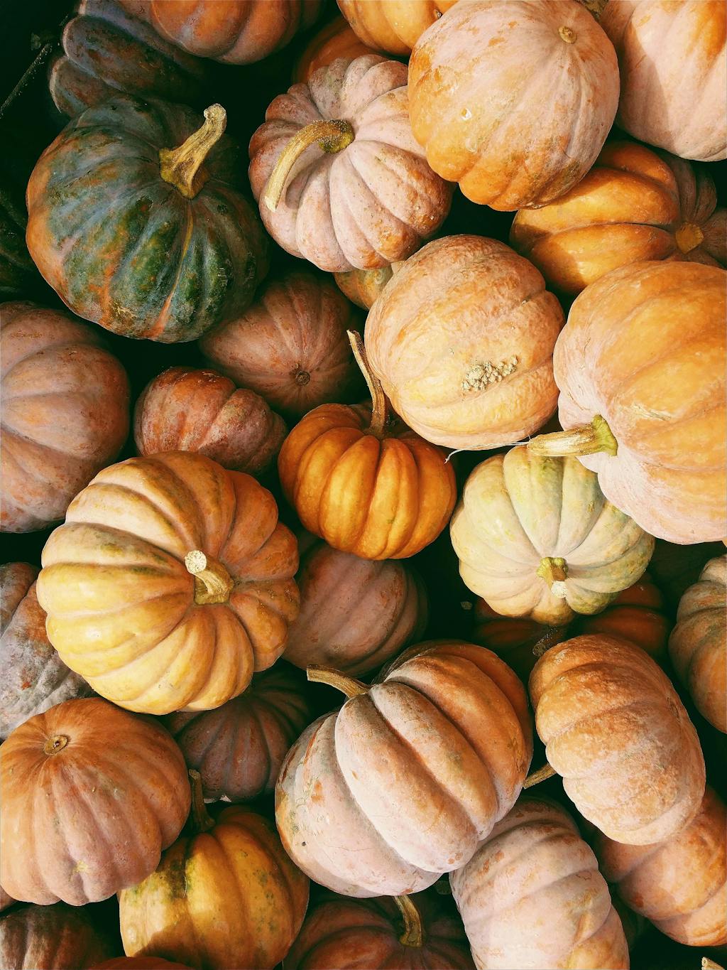 En bunke af græskar