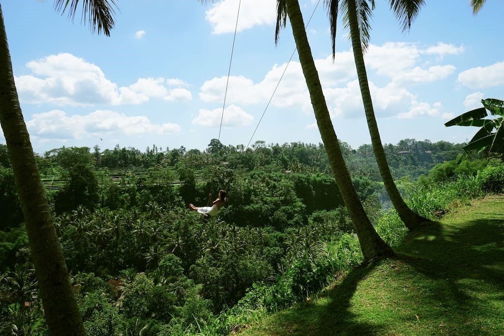 Bali gynge jungle