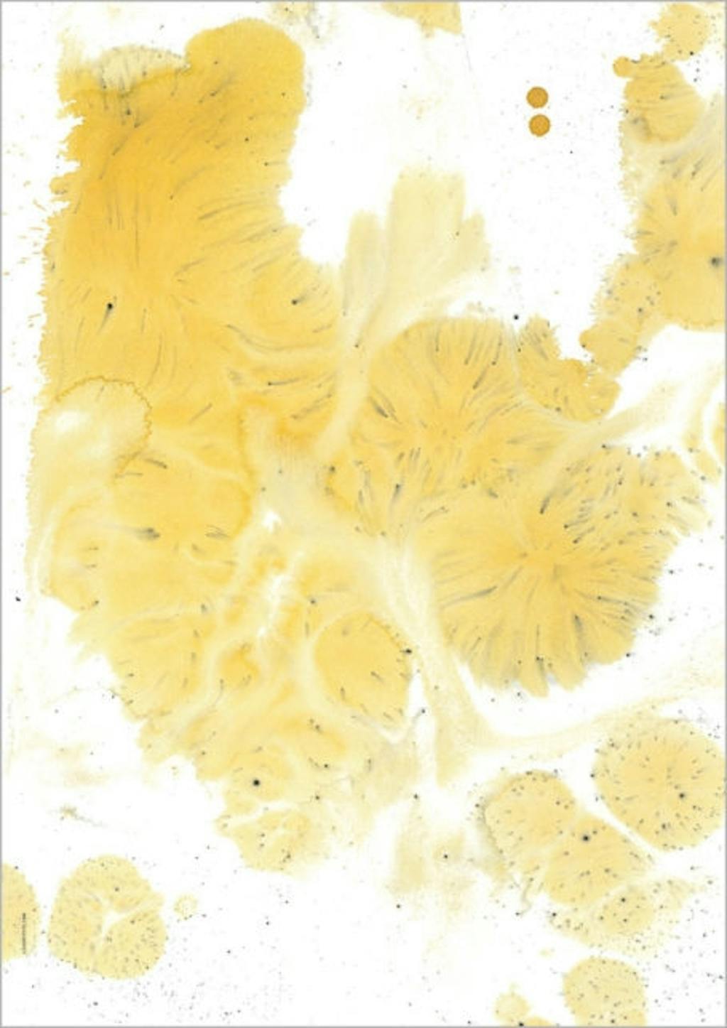 plakat i love my type universe yellow