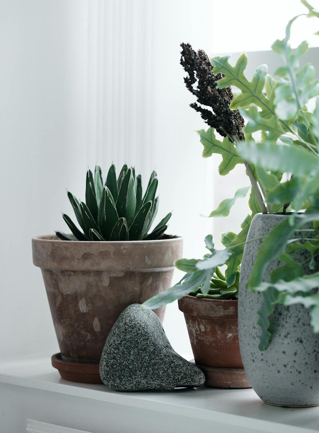 grønne planter vindueskam sten