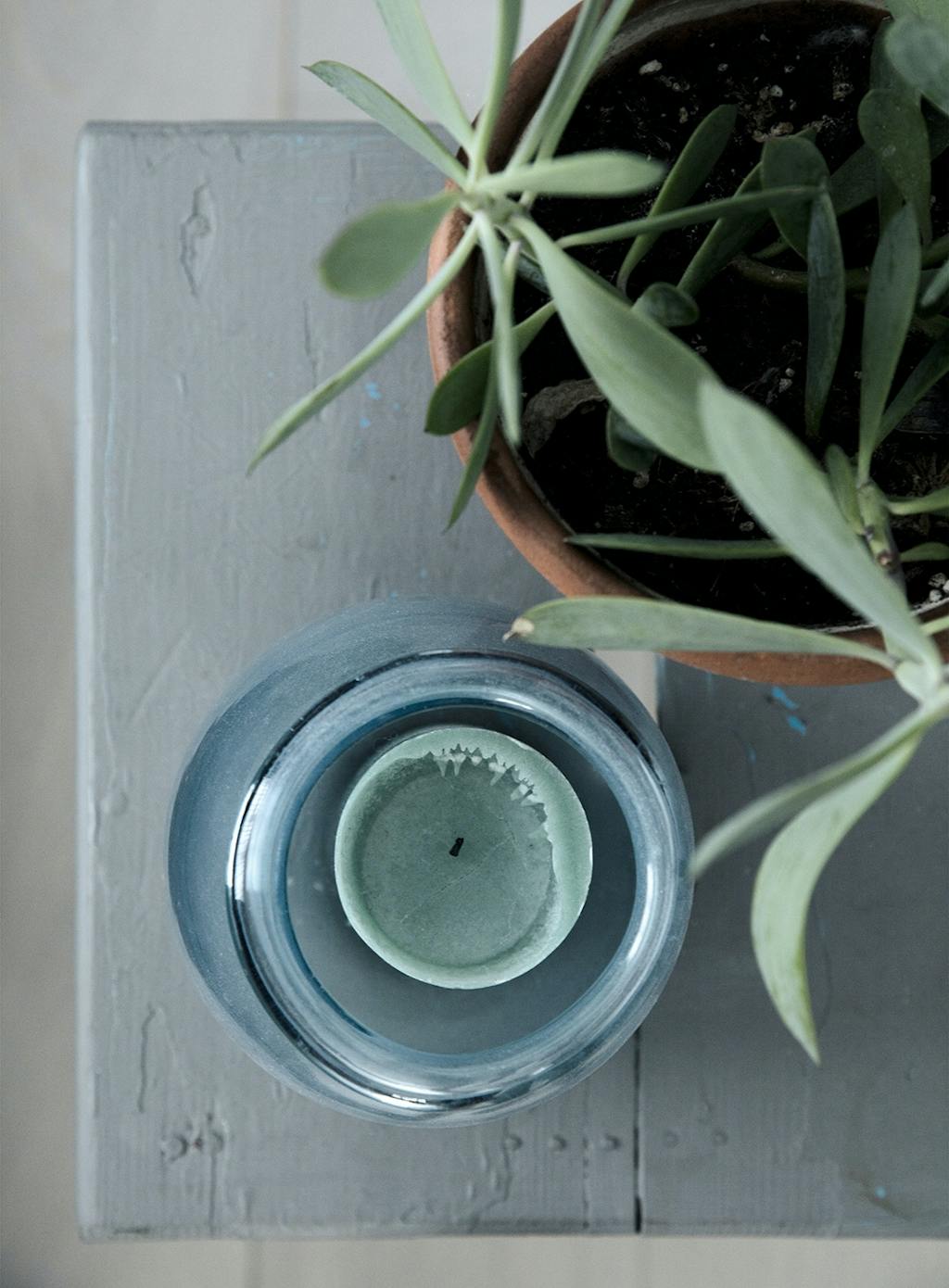 Grønne planter stearinlys