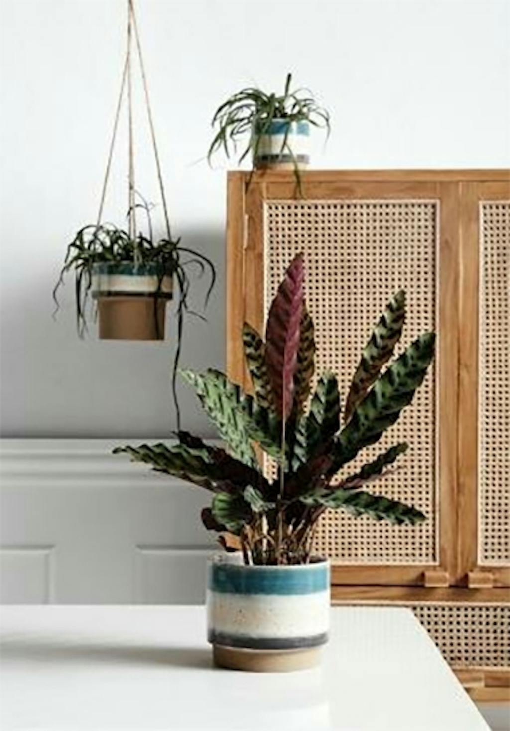 Nordal hænge urtepotte