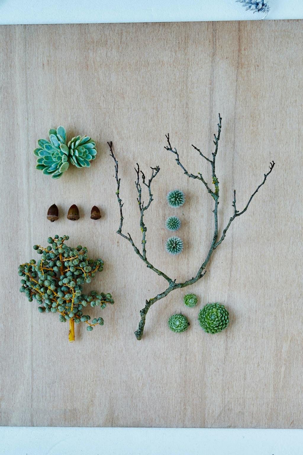 Grønn krans med sukkulenter