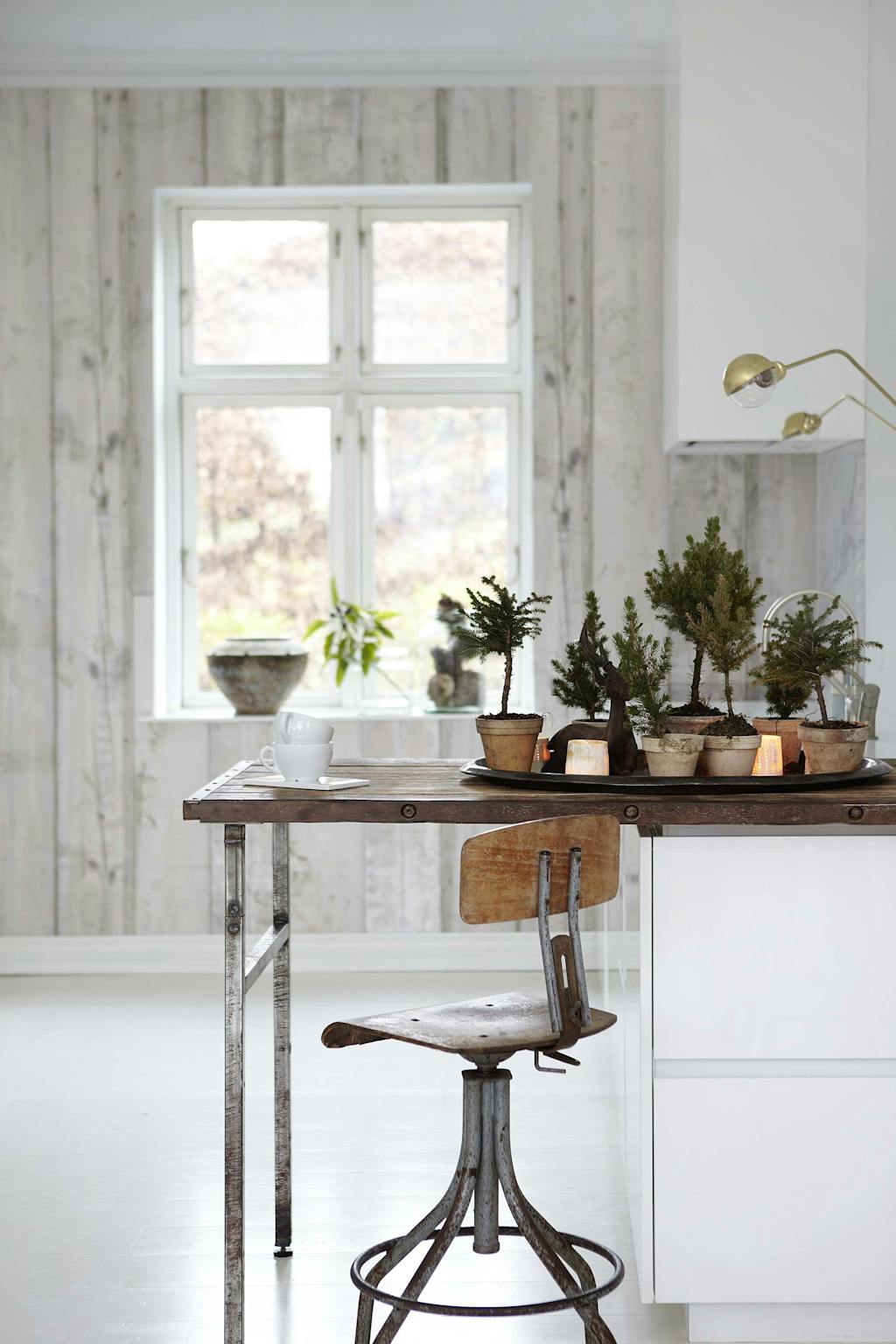 Samle mange småtrær i potter