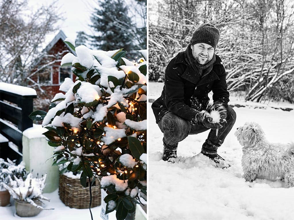 Julelys på vinterbusk og Claus Nicholas Øeland med hunden Sylvester