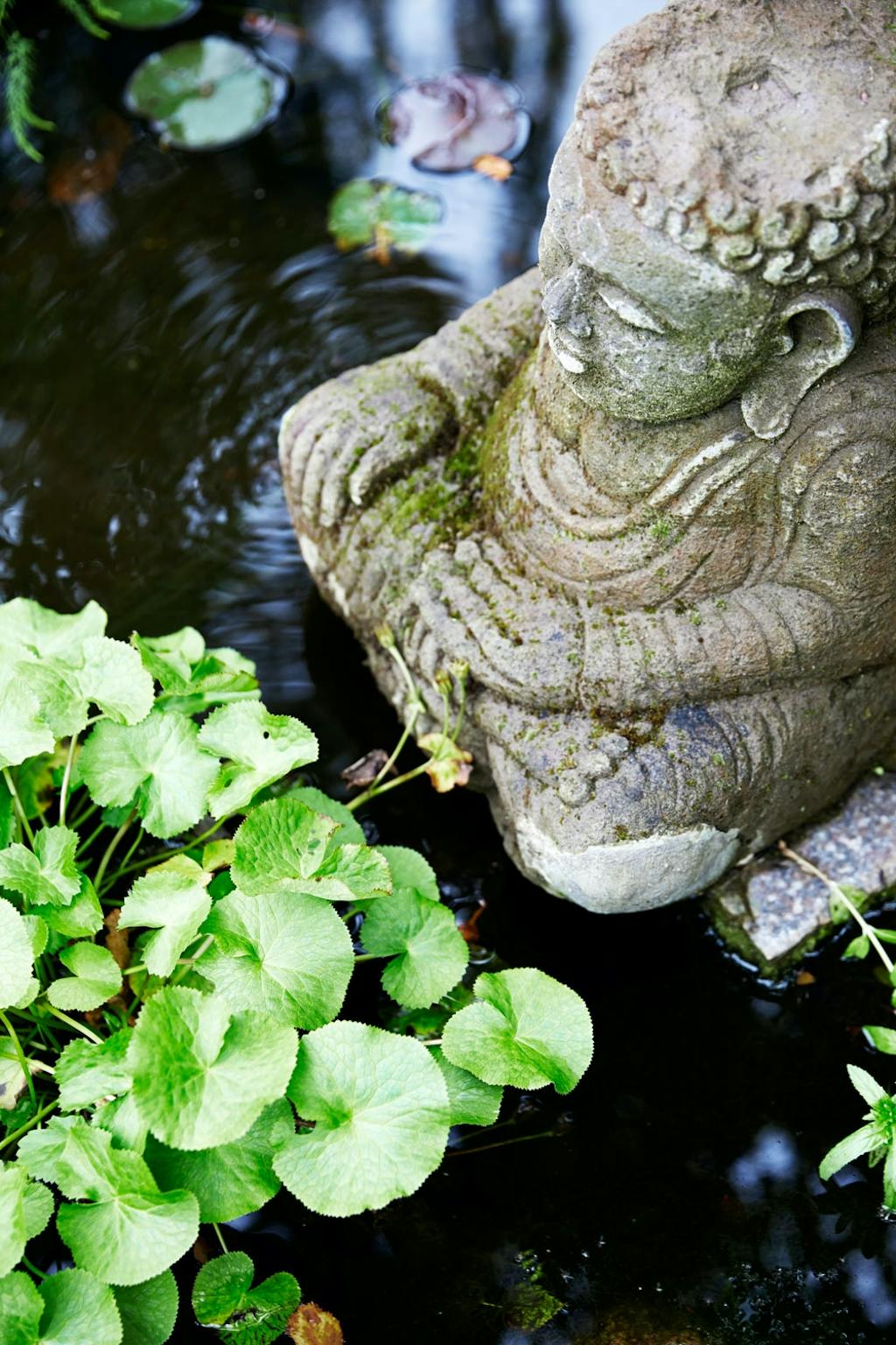 5. Vann gir ro og harmoni