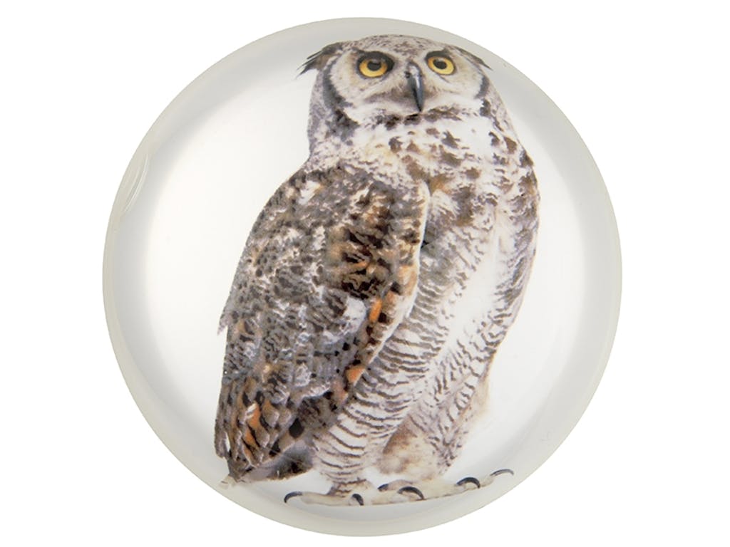 Klok ugle som passer på brevene dine 