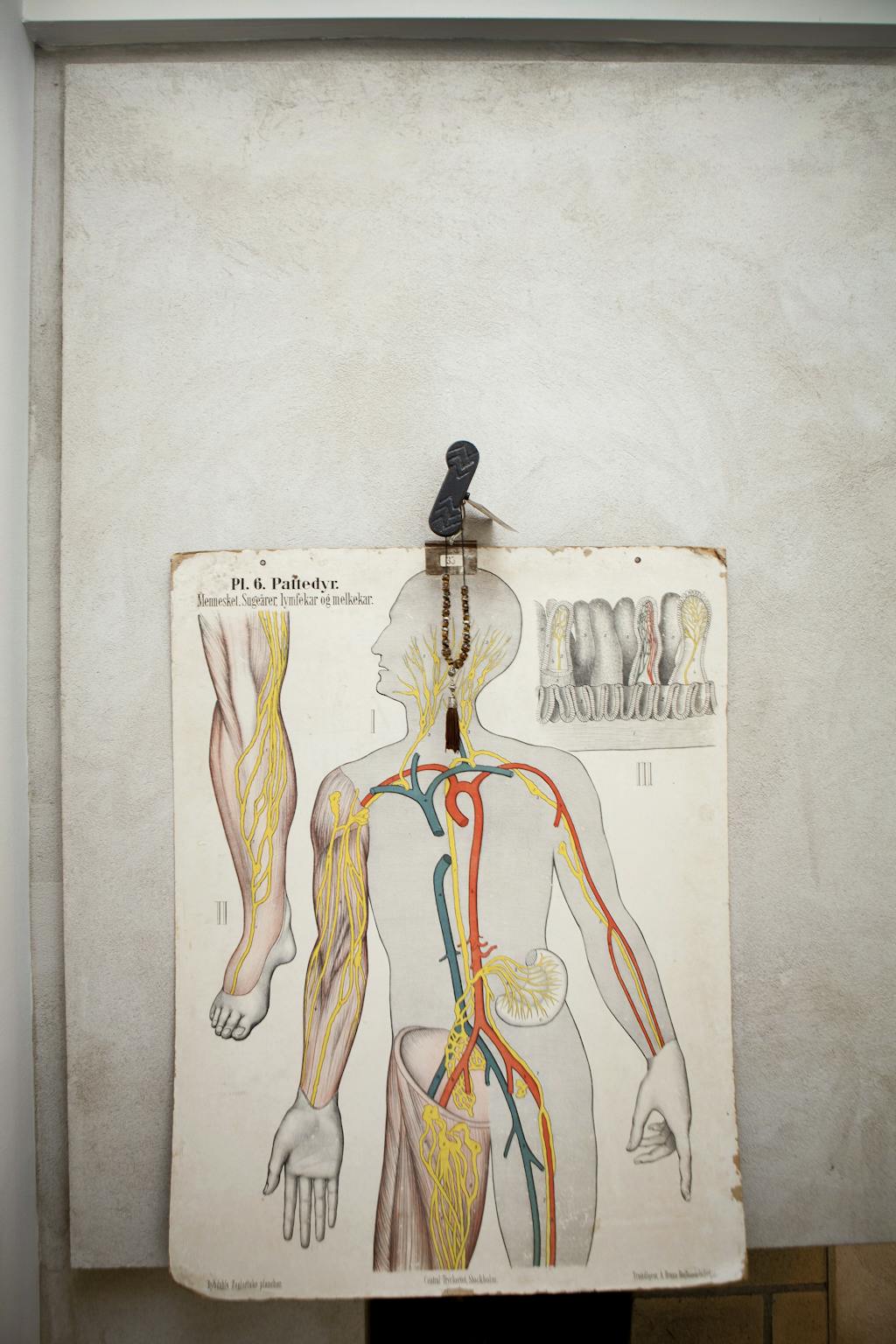 Verden under ett tak