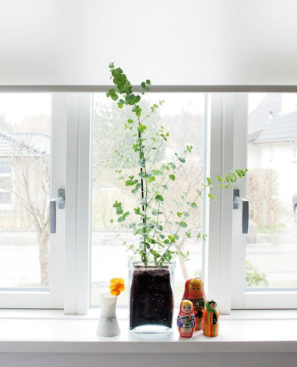 Personlighet på kjøkkenet