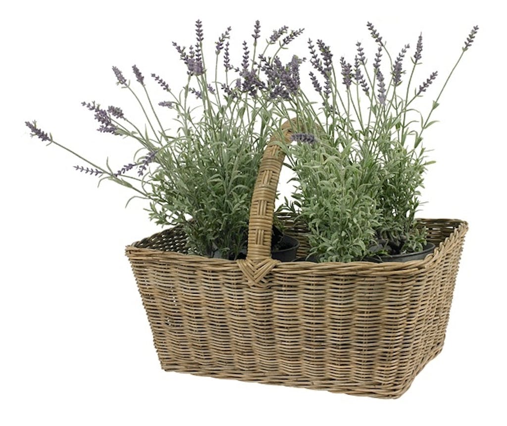 Lavendel i kurv