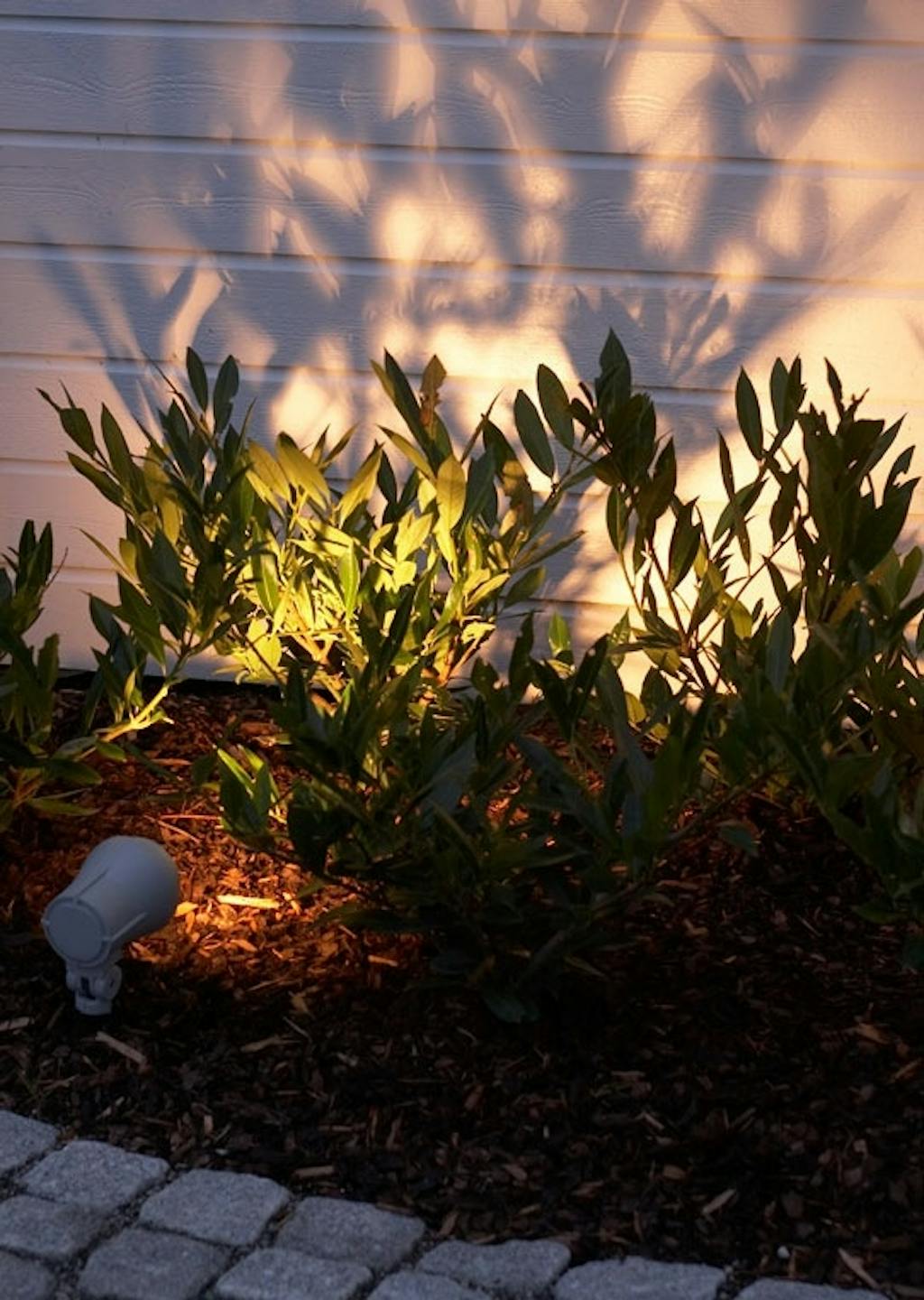 Vakkert skyggespill.