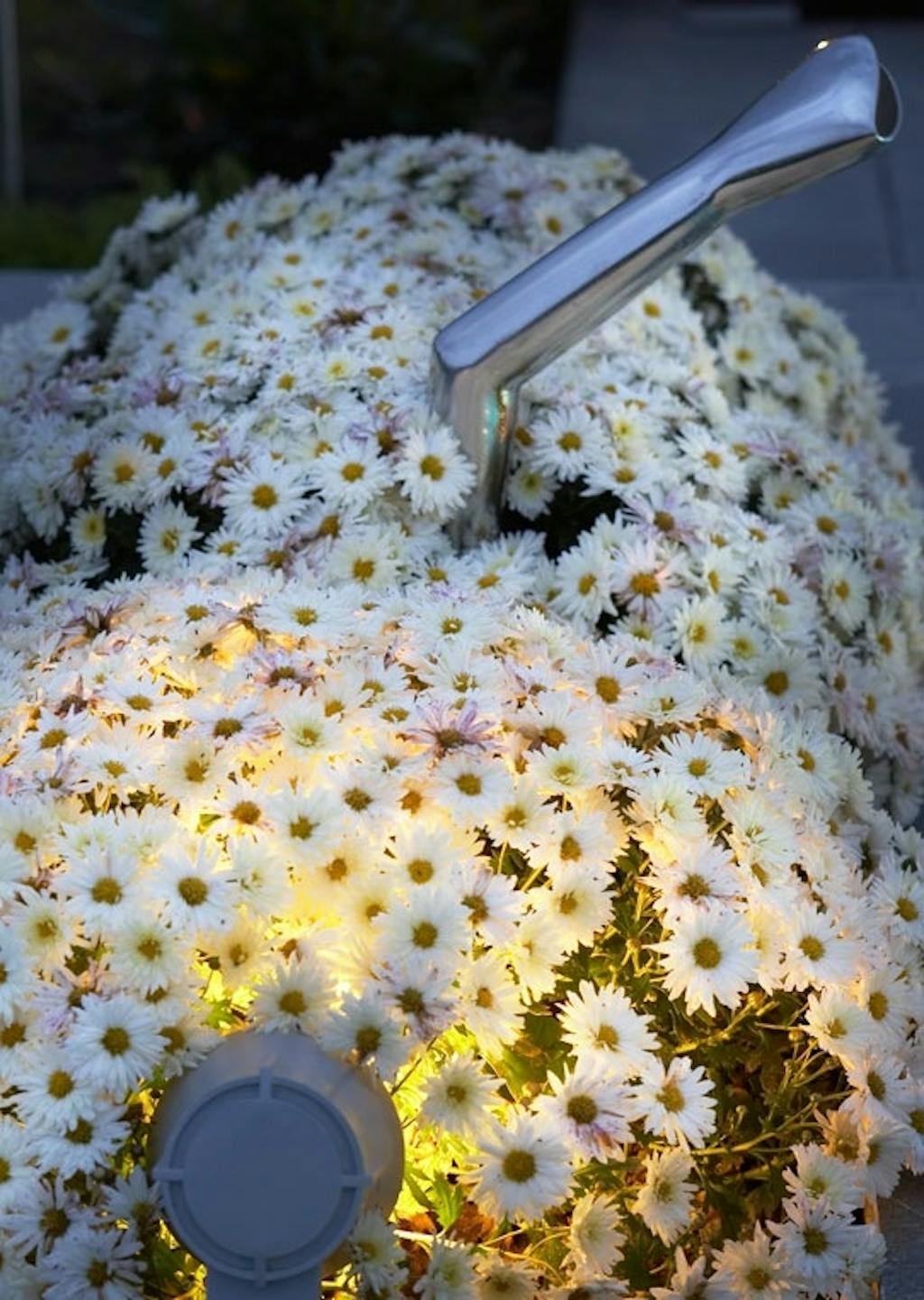 Detaljbelysning i hagen