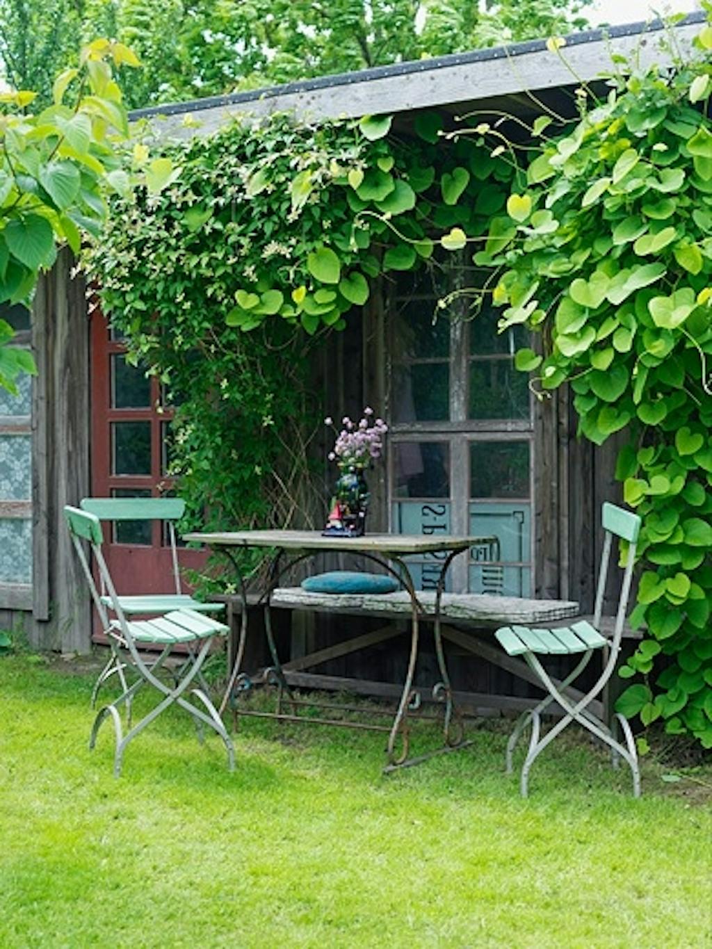 Frokostplass i hagen