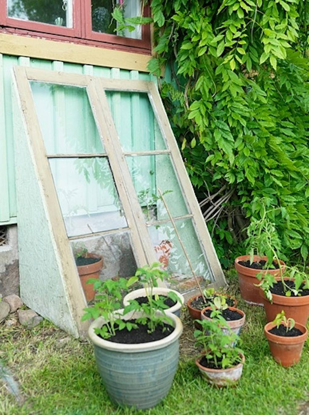 Lag et enkelt drivhus