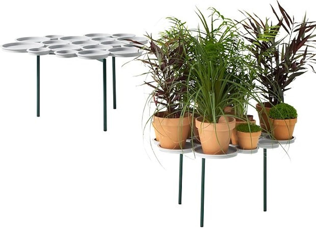 Plantebordet er tilbake