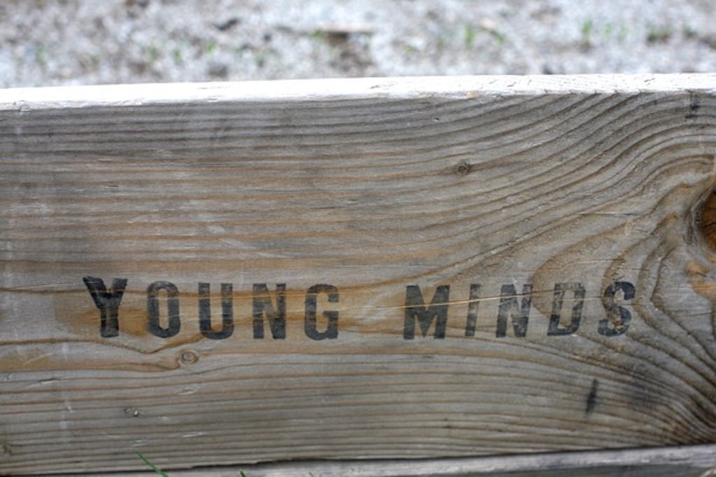 Grafiske pallekarmer