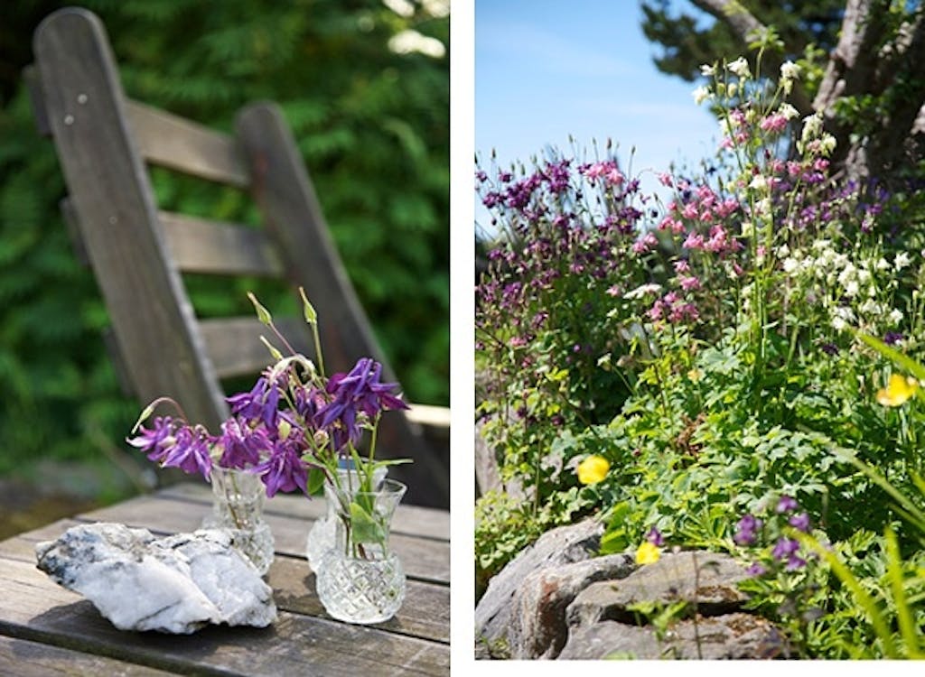 Bruker ideer til butikken