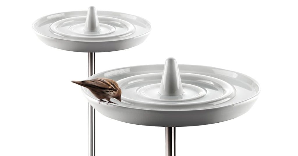 Fuglebad til småvennene