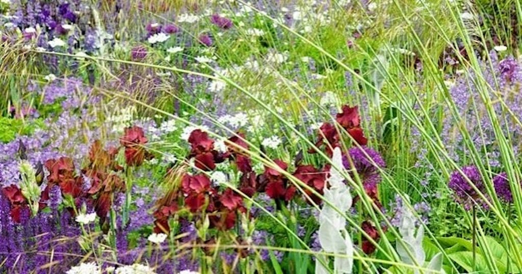 Blomsterduftende hage