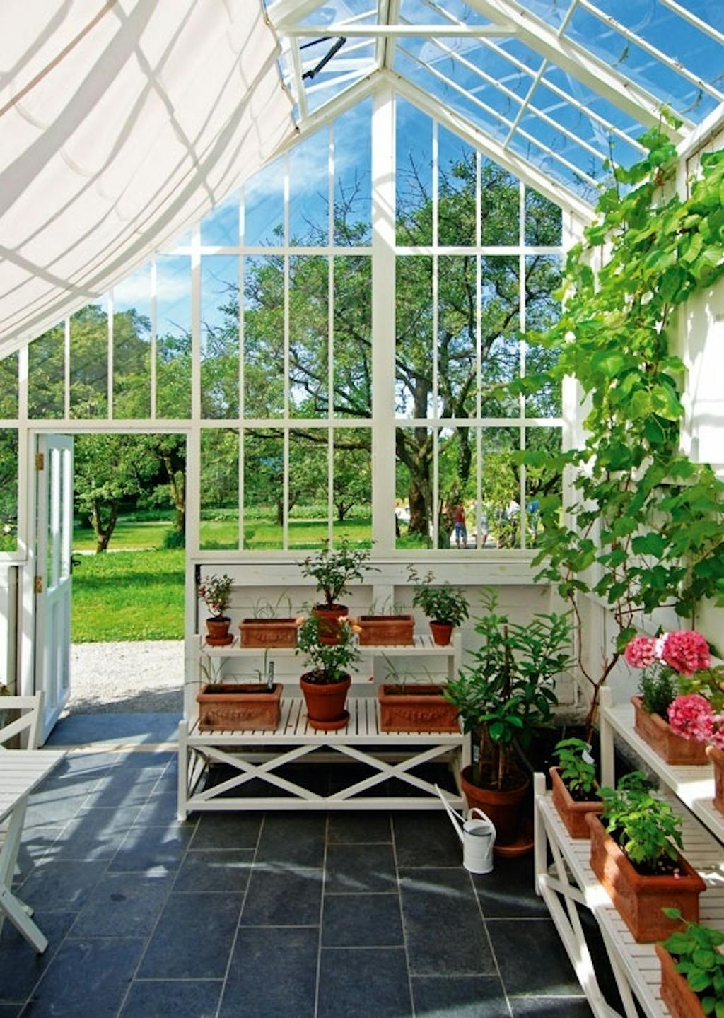 Drivhus med middelhavsplanter