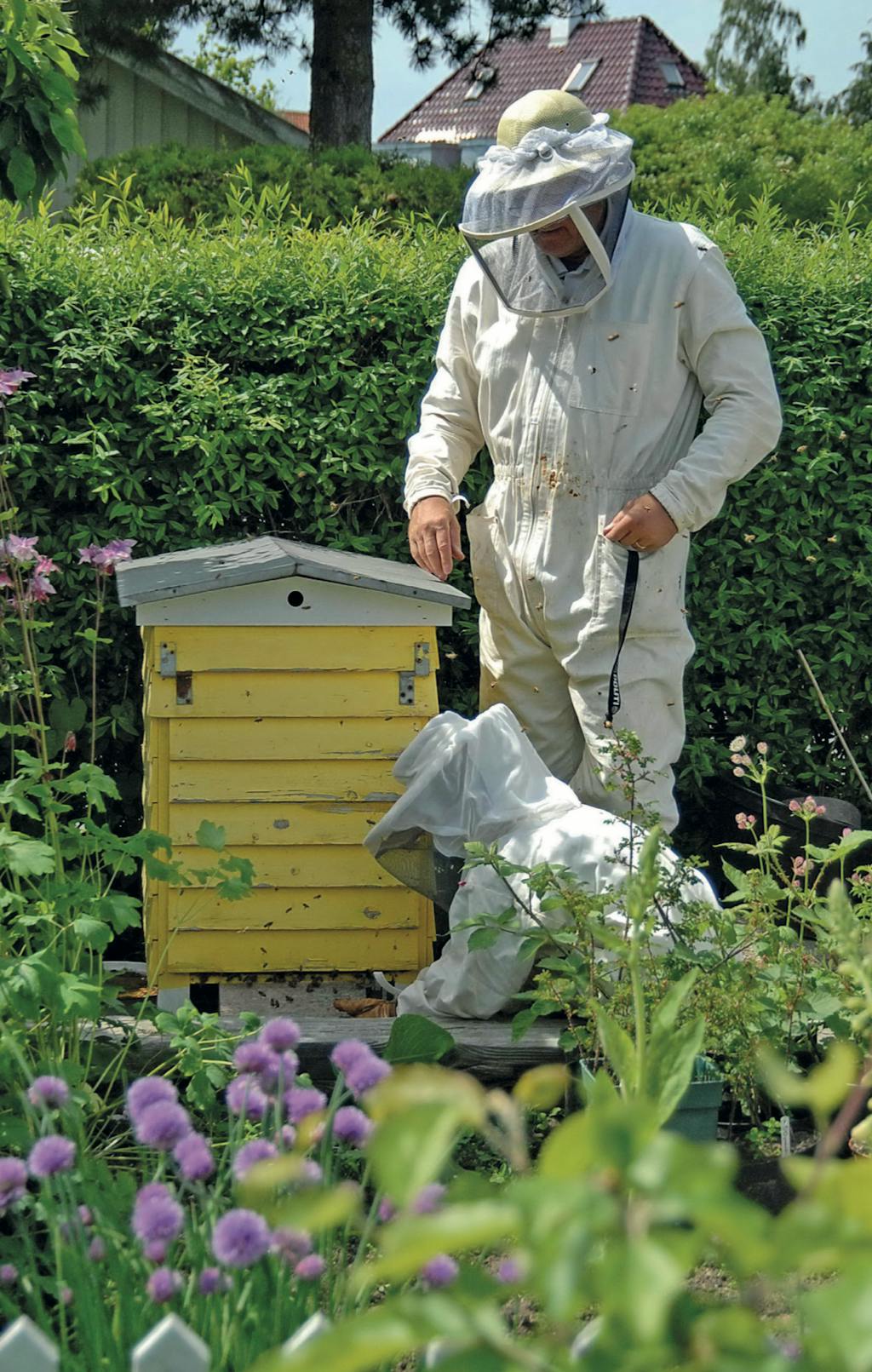 Bier i Baghaven - husk bidragt