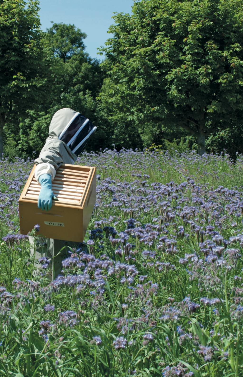 Bier i Baghaven - husk bidragt