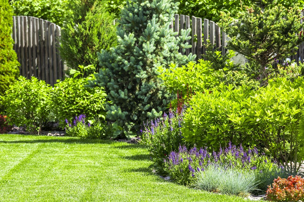 A flower garden in the backyard
