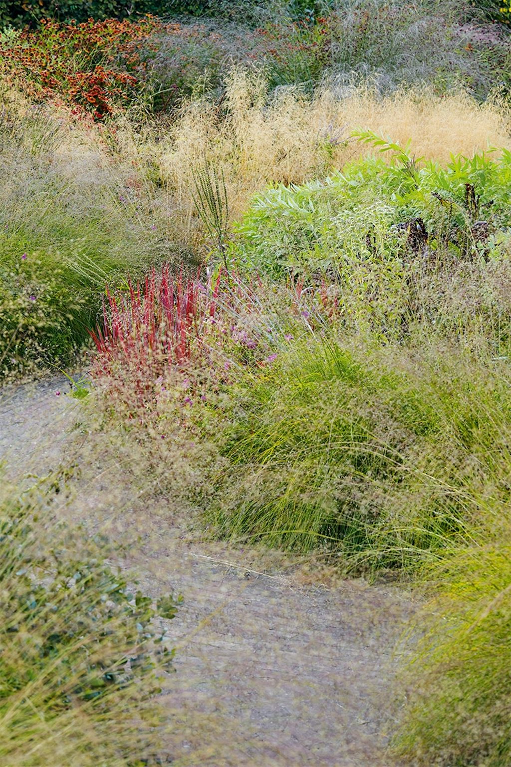 Garten Hummelo