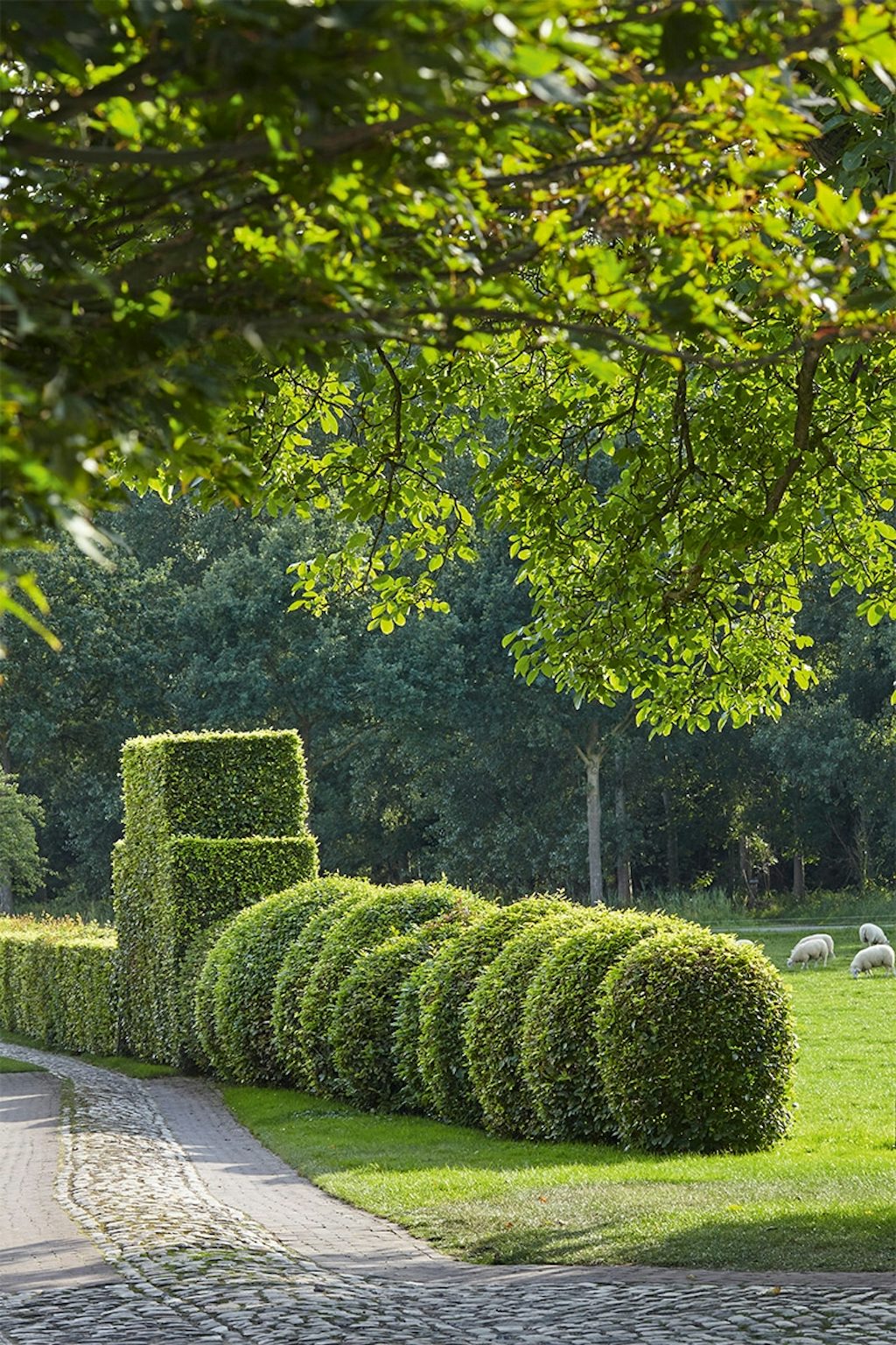 Garten Hummelo