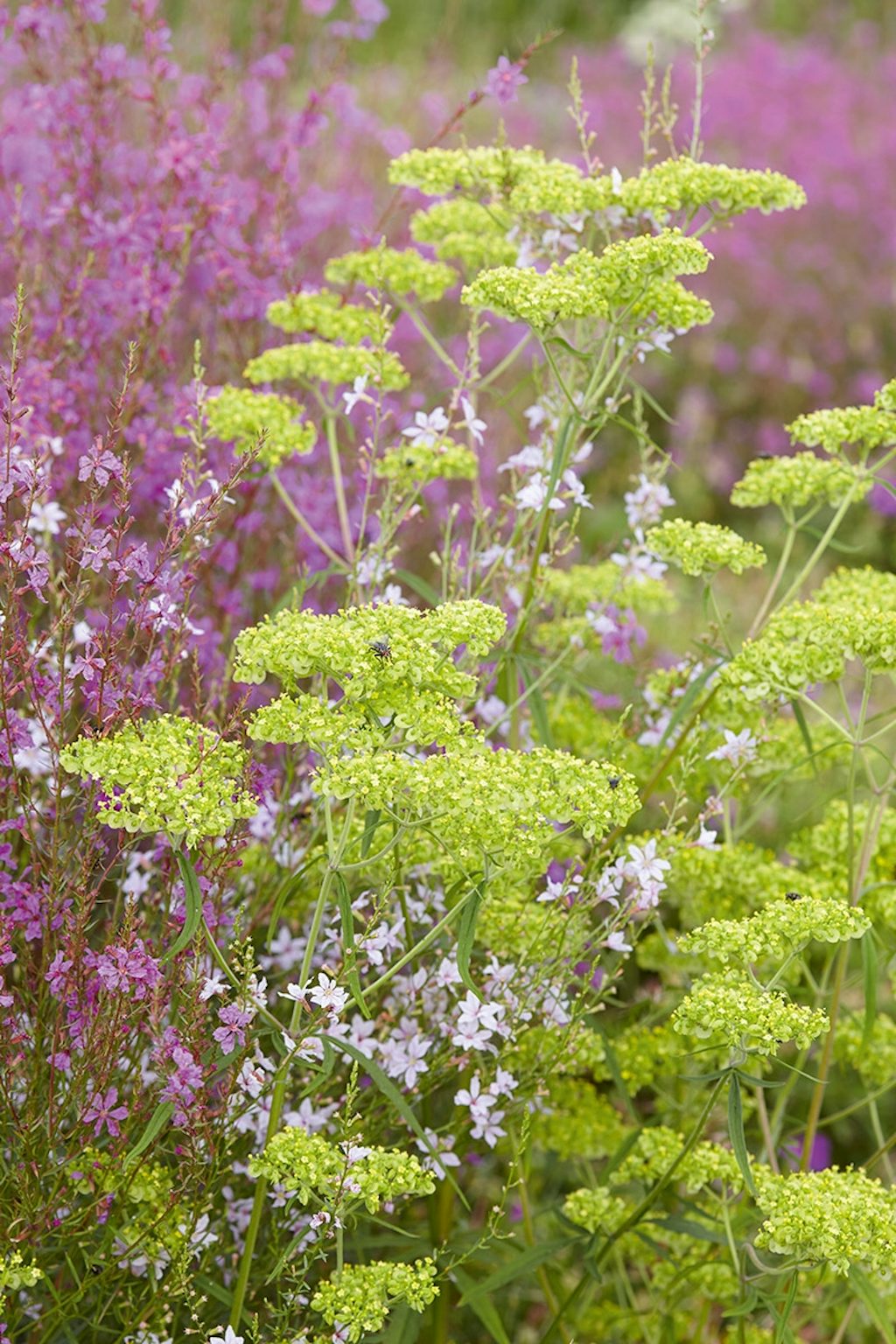 Garten Hummelo