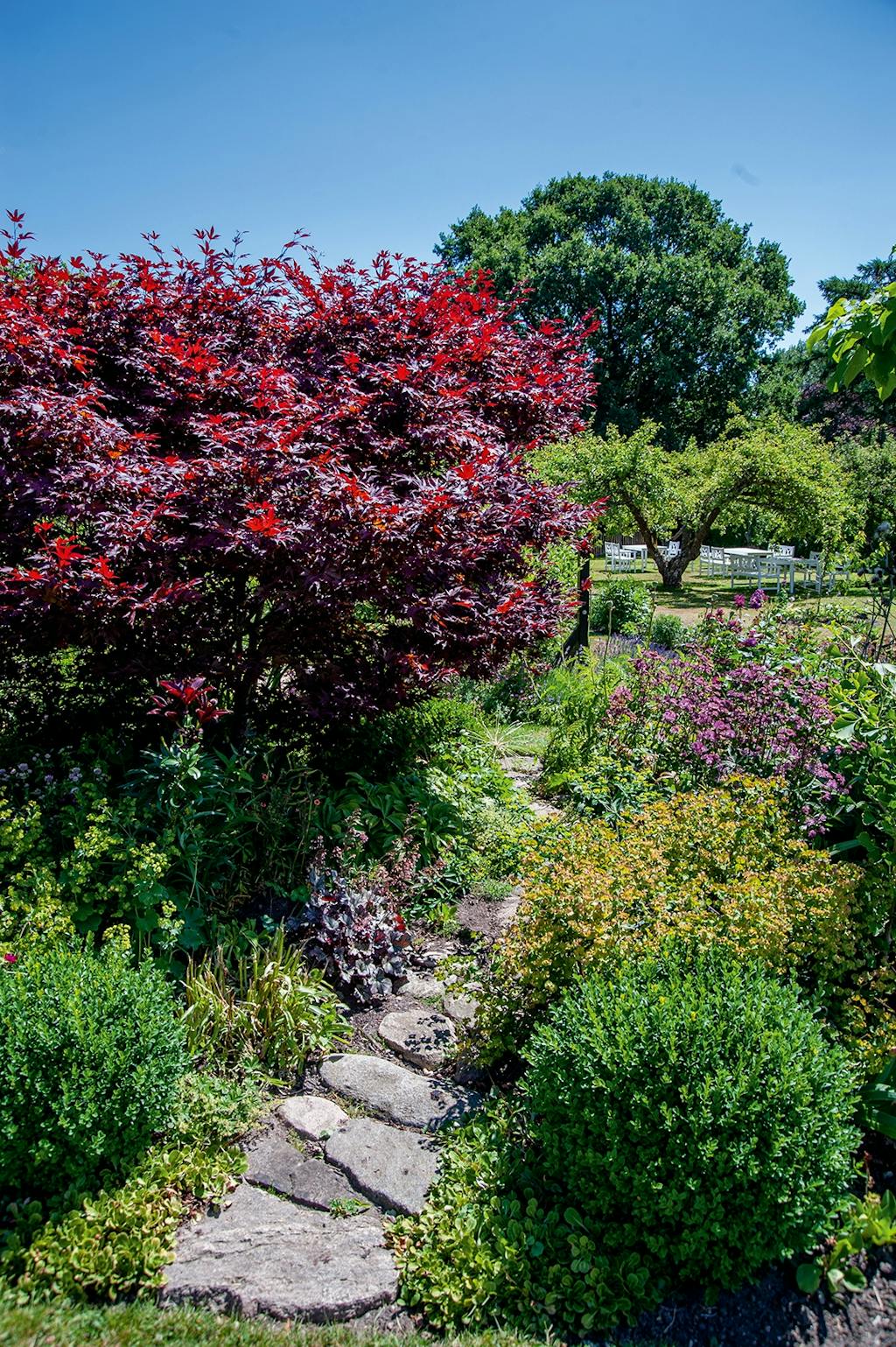 natursten sti frugttræer blomsterbed