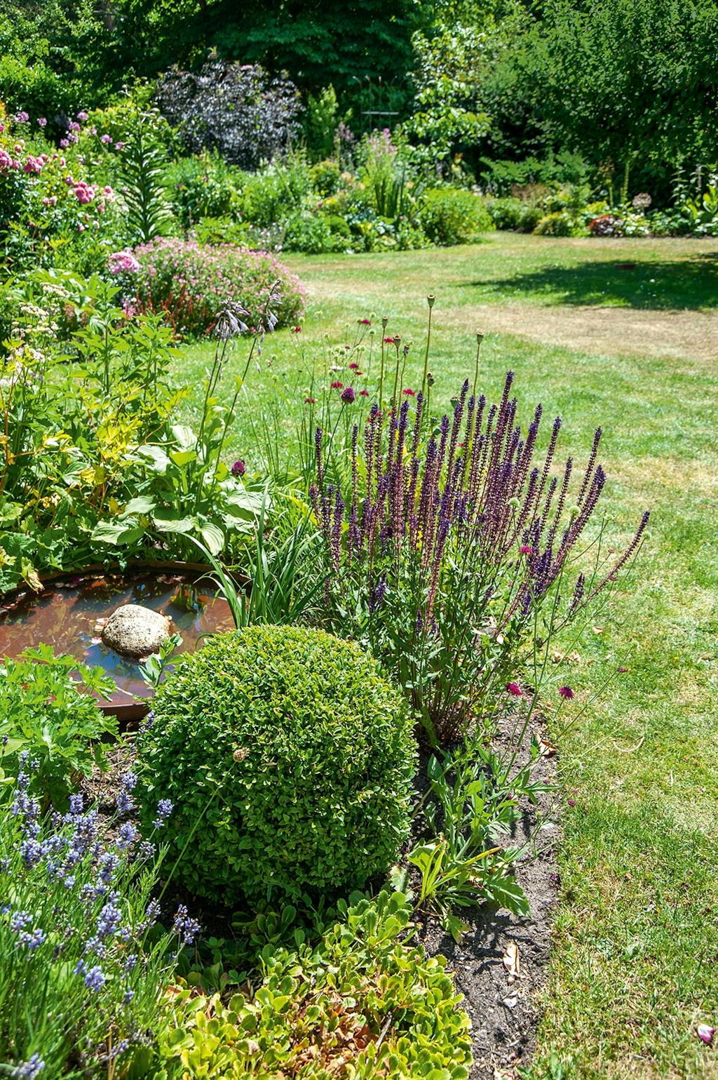 spejlbassin fugle buksbonhække lavendel have
