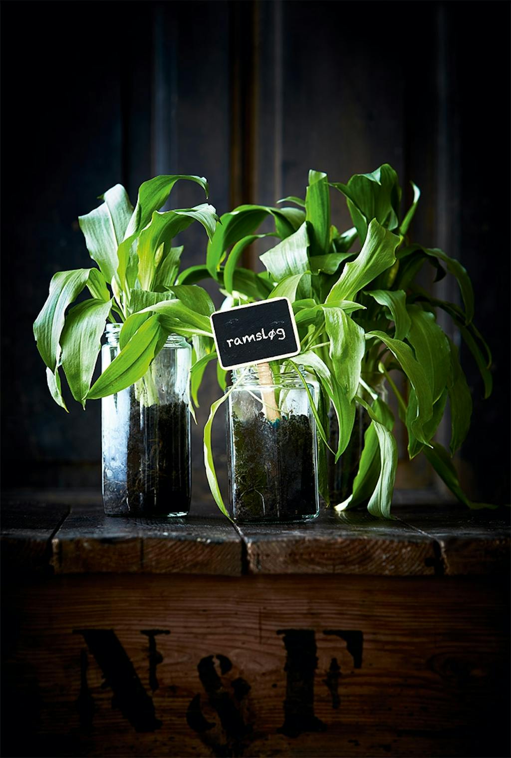 ramsløg opskrifter ramsløg sæson