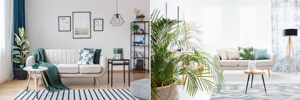 Planter til indretningen