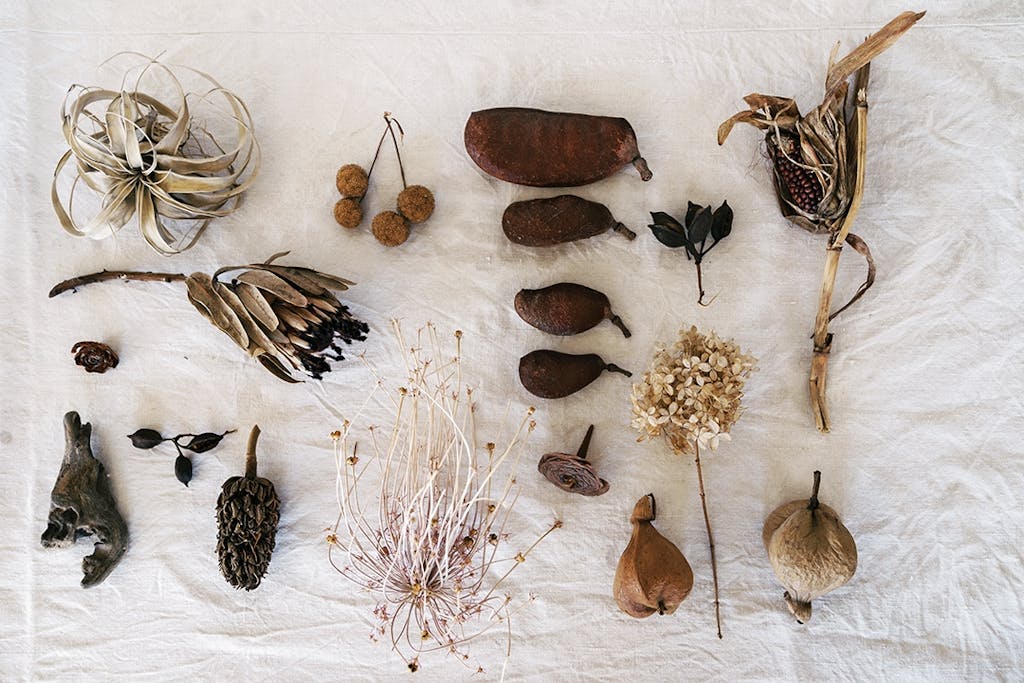 Blomster fra skogen og hagen