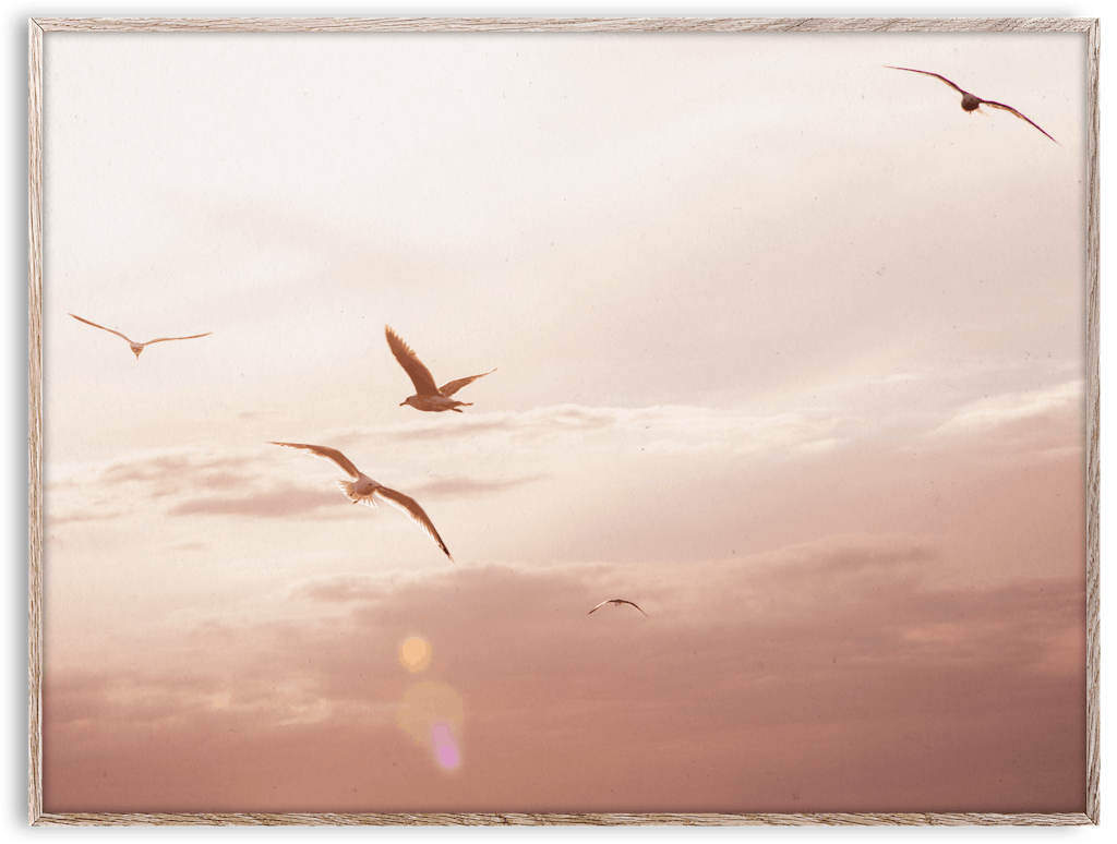 H&M HOME plakat The Sunrise