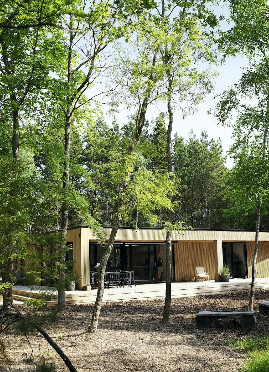 Hyggeligt sommerhus omringet af høje træer